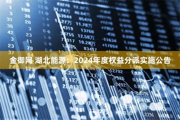 金御网 湖北能源：2024年度权益分派实施公告
