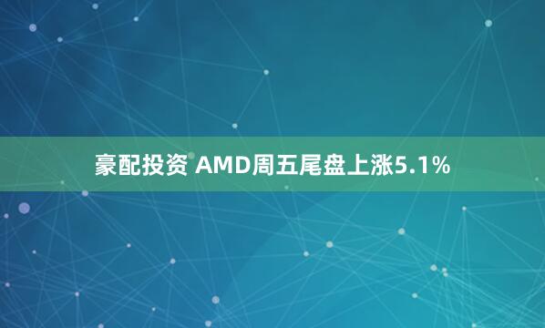 豪配投资 AMD周五尾盘上涨5.1%